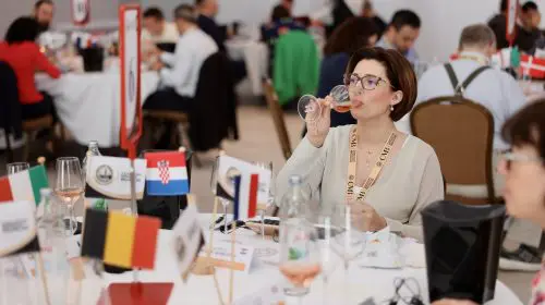 Constanța găzduiește cel mai mare concurs internațional de vinuri rose