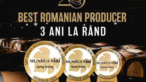 Crama Gîrboiu desemnată cel mai bun producător de vin din România