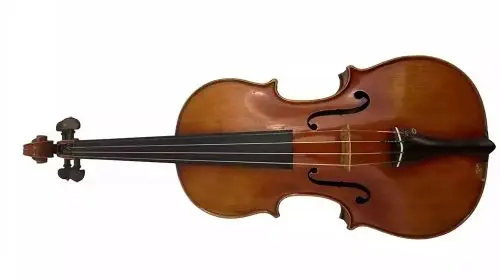 Vioara din filmul Titanic va fi licitată pentru 70.000 de euro