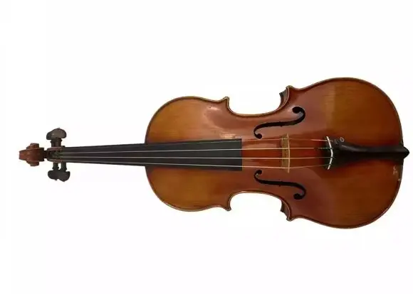 Vioara din filmul Titanic va fi licitată pentru 70.000 de euro