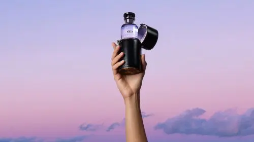 Louis Vuitton dezvăluie eLVes