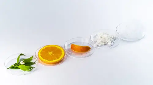 Brandul Loewe transformă cojile de portocale în tricouri