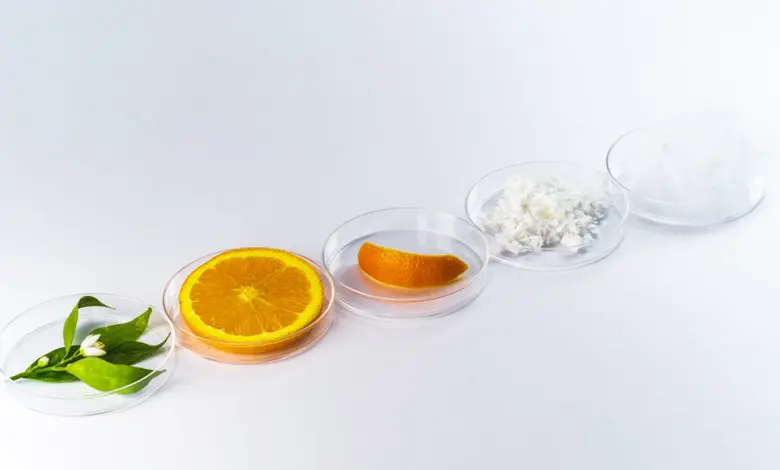 Brandul Loewe transformă cojile de portocale în tricouri