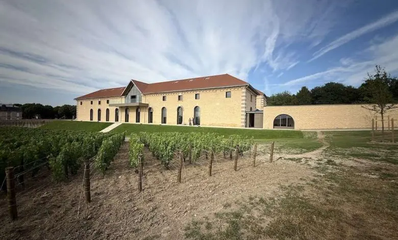 Rothschild dezvăluie Le Grand Clos 2019 – prima șampanie single-plot