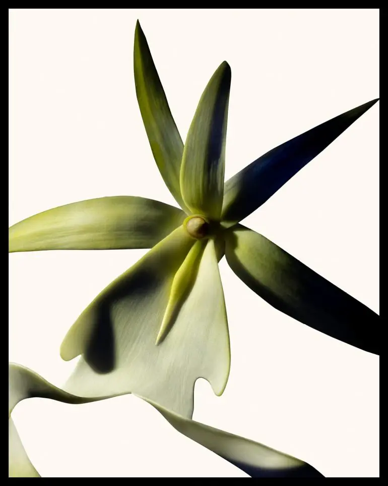 Tom Ford Ghost Orchid