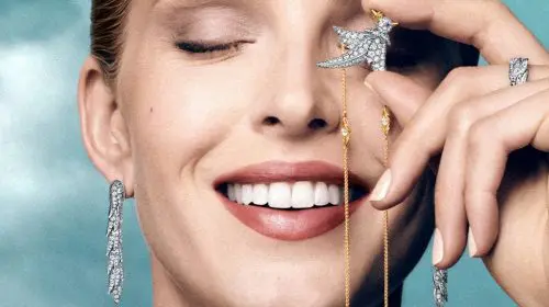 Tiffany & Co. recrează Bird on a Rock pentru o nouă eră a bijuteriilor