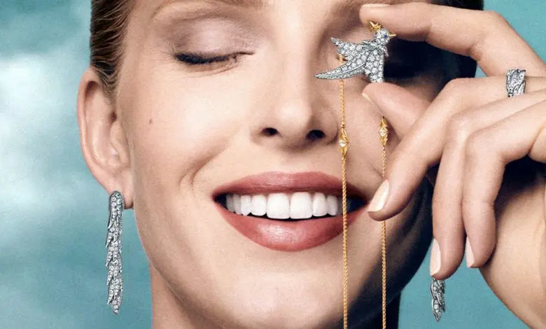 Tiffany & Co. recrează Bird on a Rock pentru o nouă eră a bijuteriilor