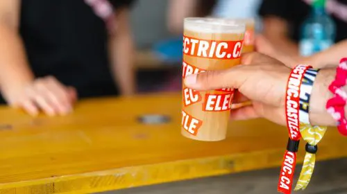 Electric Castle arată cum un festival poate fi prietenos cu mediul