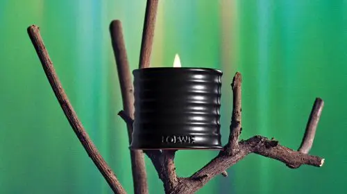 Loewe își extinde colecția de parfumuri pentru casă cu aroma de Palo Santo