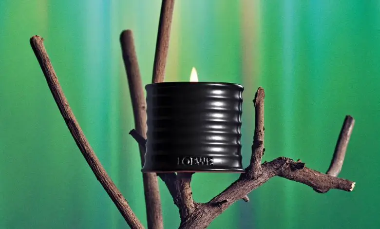 Loewe își extinde colecția de parfumuri pentru casă cu aroma de Palo Santo