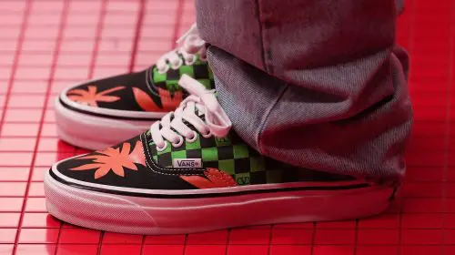 Valentino a dezvăluit campania pentru colaborarea cu Vans