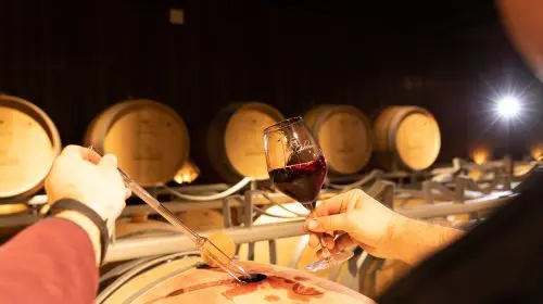 Vinul roșu – emoție și rafinament în fiecare sticlă