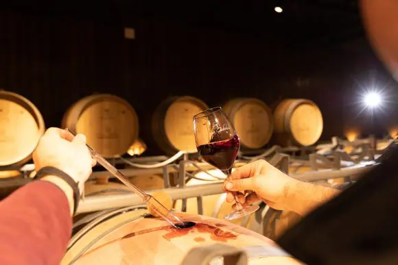 Vinul roșu – emoție și rafinament în fiecare sticlă