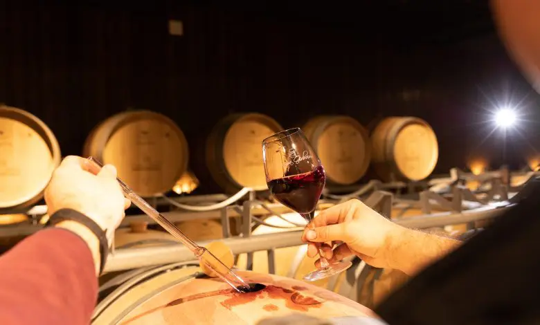 Vinul roșu – emoție și rafinament în fiecare sticlă