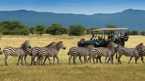 &Beyond redefinește experiența safari din Tanzania