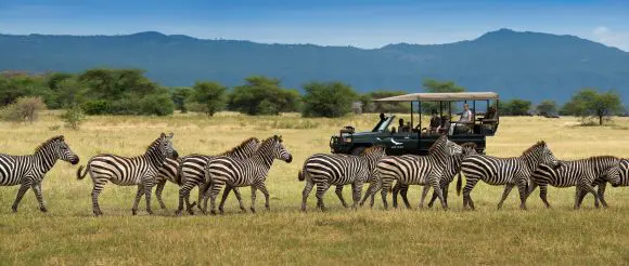 &Beyond redefinește experiența safari din Tanzania
