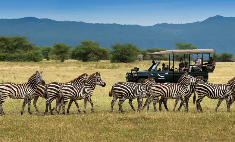 &Beyond redefinește experiența safari din Tanzania
