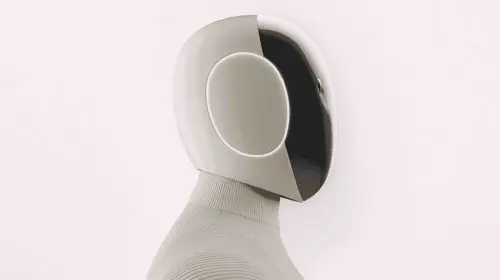 Un robot umanoid de 20.000 de dolari preia activitățile casnice