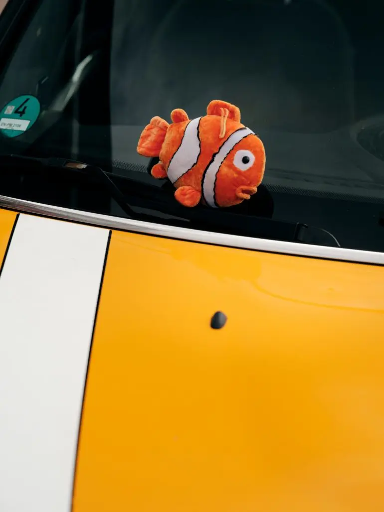 Nemo