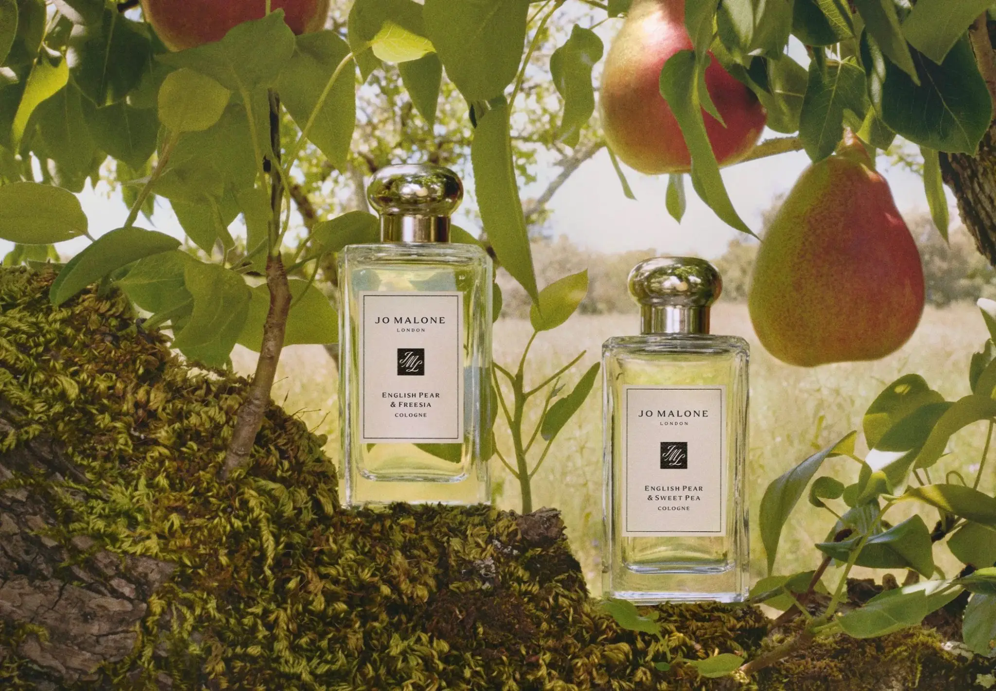 Jo Malone