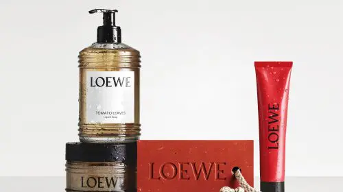 LOEWE extinde colecția Tomato Leaves cu două produse noi