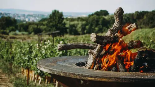 Gramma Wines investește aproximativ un milion de euro și transformă crama din Iași într-o destinație pentru experiențe premium, enoturism și evenimente