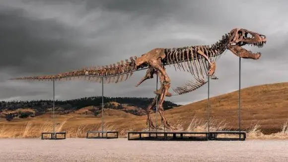 Un schelet de T. rex devine cea mai scumpă fosilă de dinozaur vândut vreodată