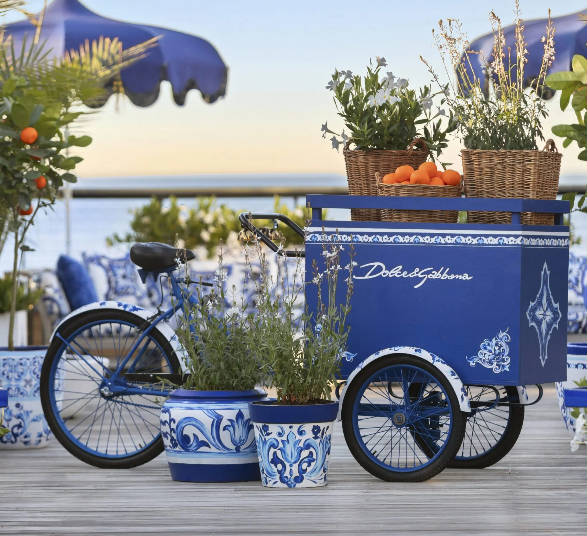 Dolce & Gabbana