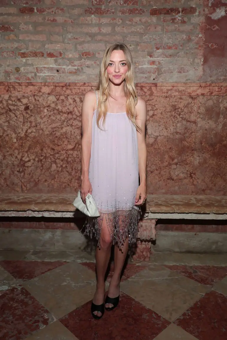 Amanda Seyfried in Miu Miu