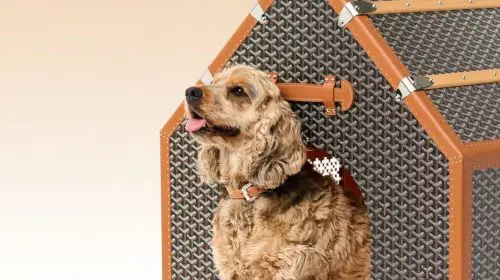 Goyard lansează o cușcă de lux pentru câini, la aproape 49.000 de dolari