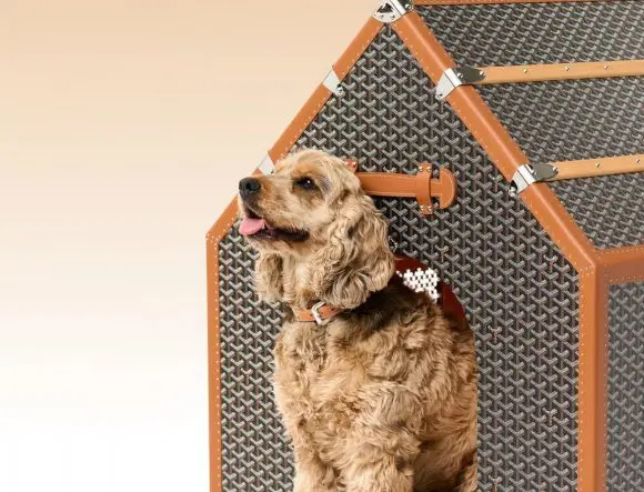 Goyard lansează o cușcă de lux pentru câini, la aproape 49.000 de dolari