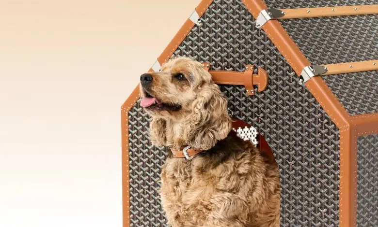 Goyard lansează o cușcă de lux pentru câini, la aproape 49.000 de dolari