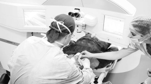 Chirurgia laser a viciilor de refracție – sau „Cum să scap de ochelari?”