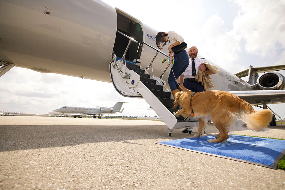 Bark Air