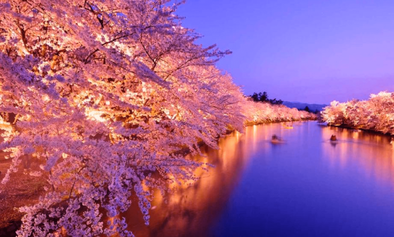 Topul celor mai luxoase hoteluri din Japonia în timpul sezonului Sakura