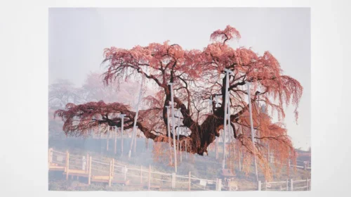 Trei noi galerii de artă se deschid în această toamnă