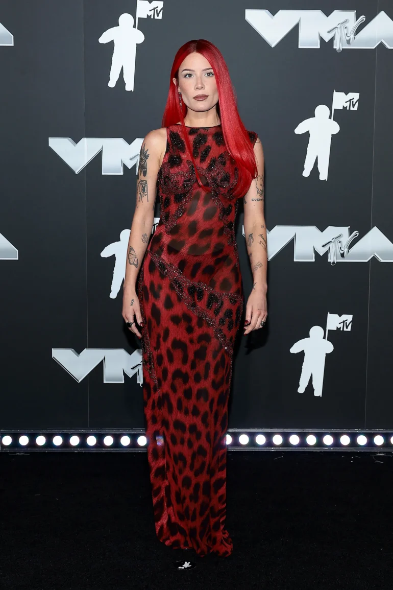Premiile VMA 2024