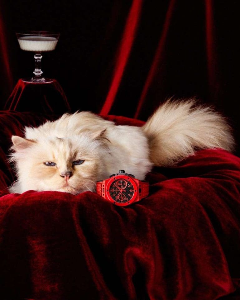 Hublot Choupette