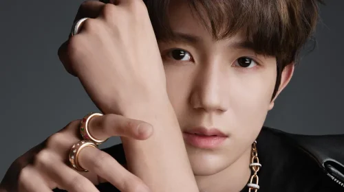 Casa de bijuterie Pomellato îl introduce pe starul C-pop Roy Wang drept ambasador global de imagine